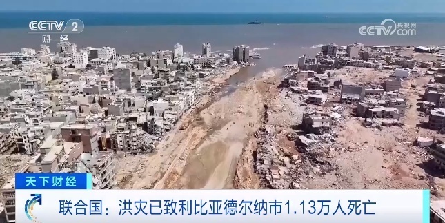 金钱豹vip